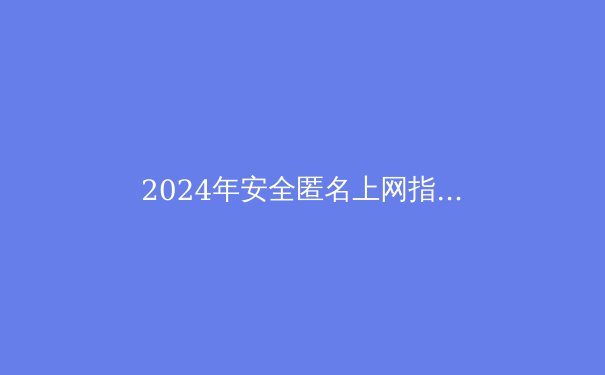 2024年安全匿名上网指南：深度解析VPN底层技术与行业趋势 - 3