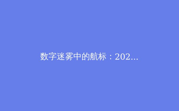 数字迷雾中的航标：2024年VPN技术演进与安全选择全解析 - 2