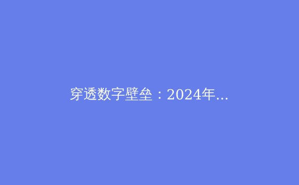 穿透数字壁垒：2024年VPN技术趋势与安全资讯深度剖析 - 4