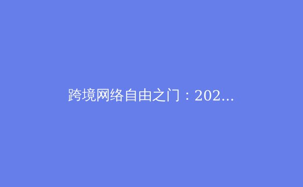 跨境网络自由之门：2024年VPN技术演进与安全实践深度解析